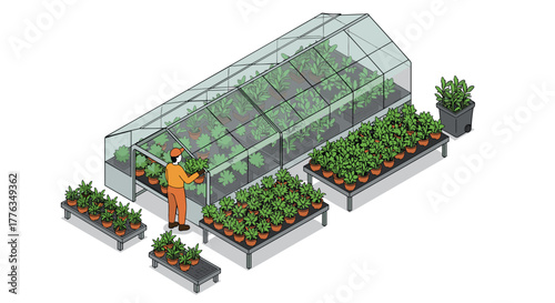 Isometric greenhouse gardening with lush green plants and gardener