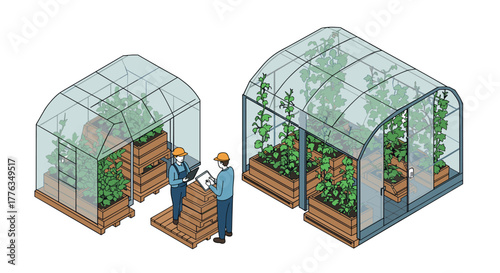 Isometric greenhouse agriculture with people inspecting plants