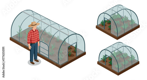 Isometric greenhouse farming with farmer and plants in modern agriculture design