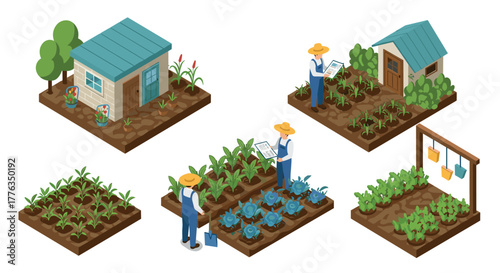 Isometric urban farming scenes with farmers and vegetables