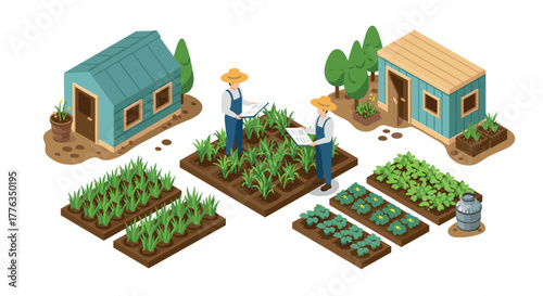 Farmers analyzing crops in isometric rural farm scene with vegetable garden