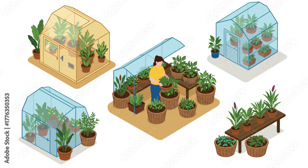 Naklejka premium Isometric greenhouses and indoor gardening with lush plants and pots