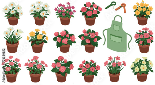 Blooming garden delight with assorted potted flowers and essential gardening tools