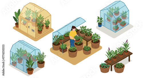 Isometric greenhouses and indoor gardening with lush plants and pots