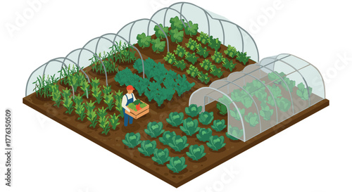 Isometric organic farm with greenhouses and crops