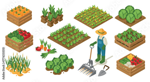 Isometric farm set vegetables, crops, and gardening tools