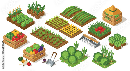 Isometric garden plots with vegetables and tools for urban farming and sustainable living