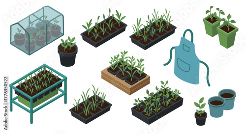 Isometric indoor gardening with seedlings and mini greenhouse