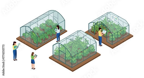 Isometric greenhouse technology women monitoring smart farming with digital tablets