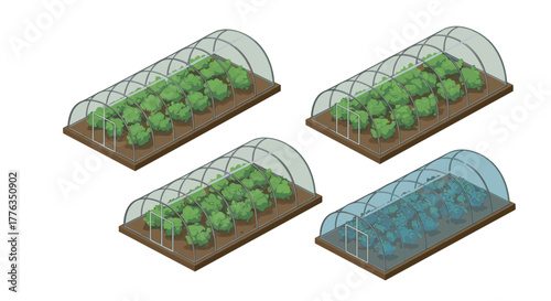 Isometric greenhouse set featuring various plant growth stages and designs