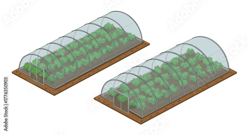 Isometric greenhouse design with lush vegetation on transparent covers