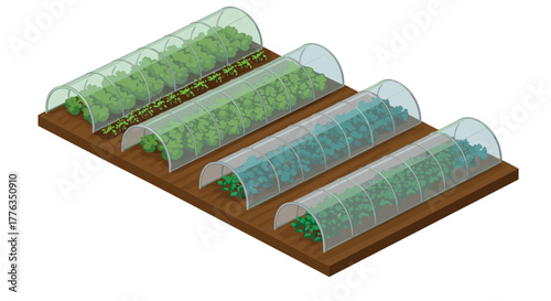 Isometric greenhouse farm with vegetables in rows for sustainable agriculture concept