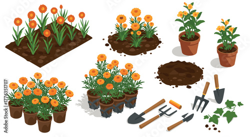 Vibrant garden elements set with tools and orange flowers in isometric design