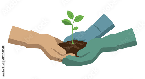 Collaborative hands nurturing a young plant for growth and sustainability