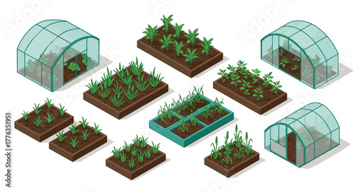 Isometric greenhouse and raised bed garden with lush vegetables and herbs