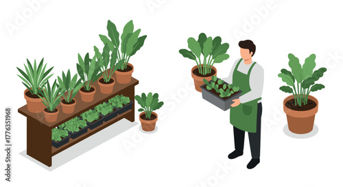 Gardener holding plants in isometric greenhouse setting with potted greenery on display