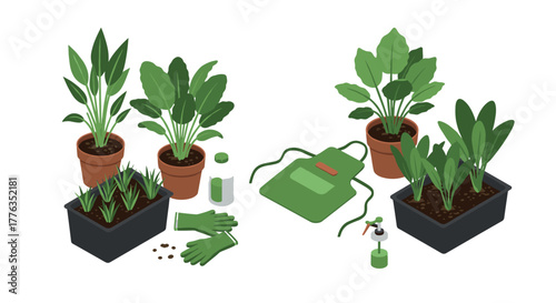 Indoor plant gardening essentials with potted greenery and tools in isometric design