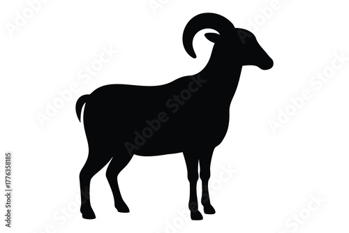 Bighorn sheep isolated on white background standing vector cartoon illustration