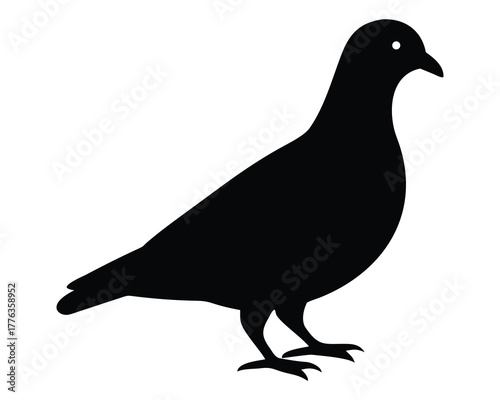 Urban wildlife: A solitary silhouette of a Mourning dove with gray feathers and a wing is isolated on white