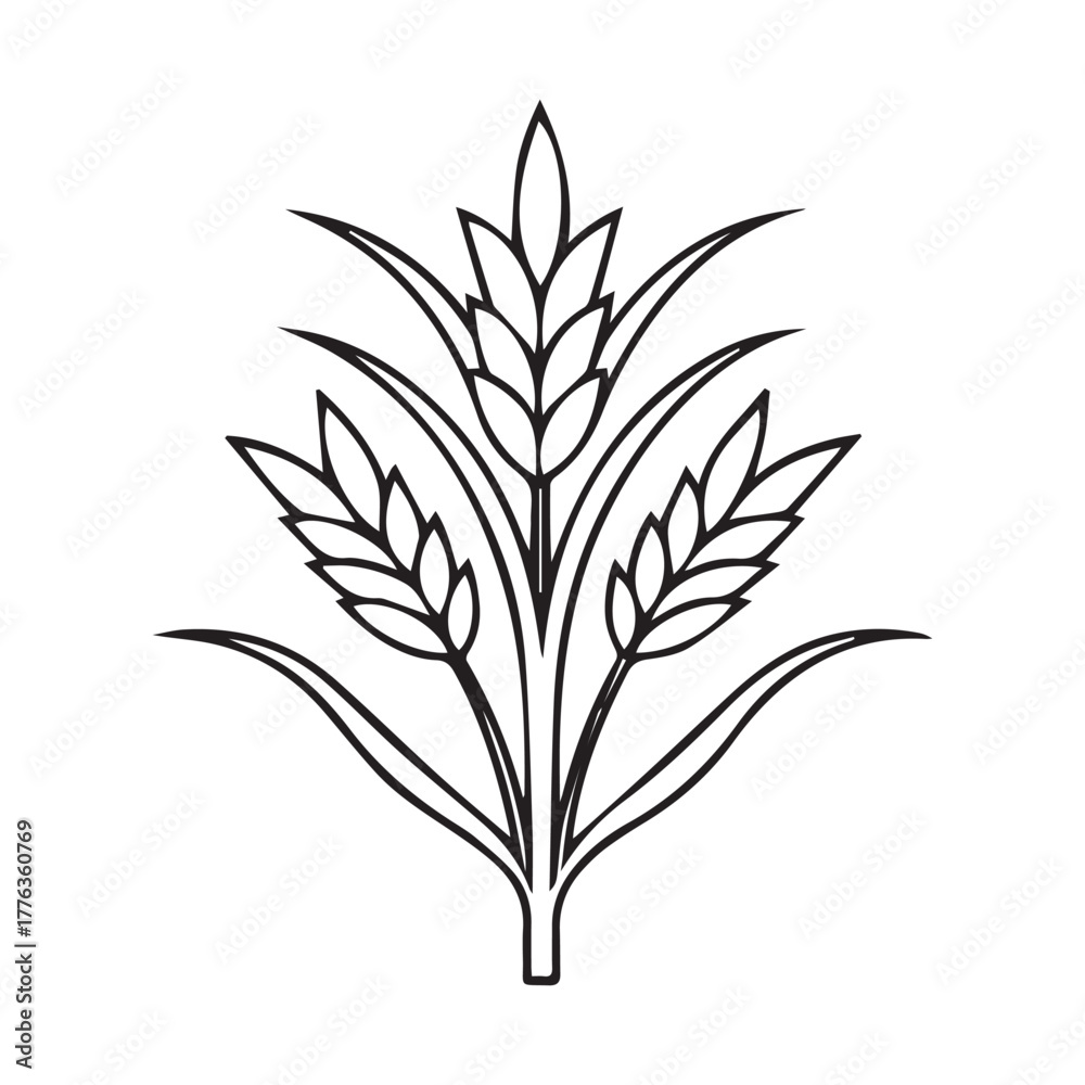 Naklejka premium Wheat Barley Rice Icon Hand Drawn Vector.A Vector Icon.