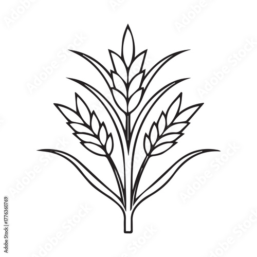 Wheat Barley Rice Icon Hand Drawn Vector.A Vector Icon.