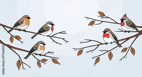 A group of small birds perched on bare tree branches with raindrops.