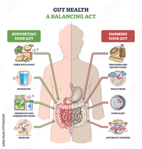 Gut health balancing act shown with a human silhouette split by good vs bad habits, highlighting intestines, arrows, and stomach to explain support versus harm. Outline diagram