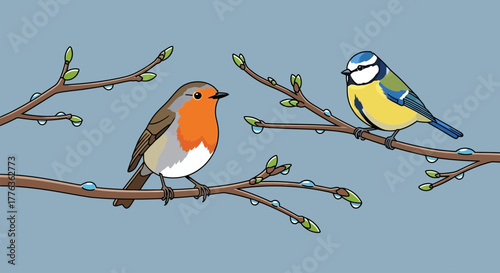 Two colorful birds, a robin and a blue tit, perched on budding tree branches with water droplets.