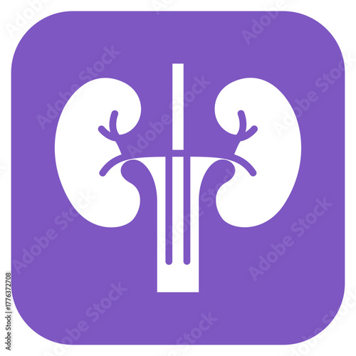 Kidneys icon vector image. Can be used for Human Anatomy.