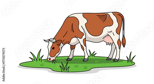 A charming vector illustration of a spotted brown and white dairy cow grazing peacefully on a patch of green grass
