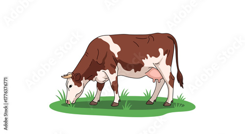 Illustration of a Brown and White Cow Grazing in a Green Field on a White Background