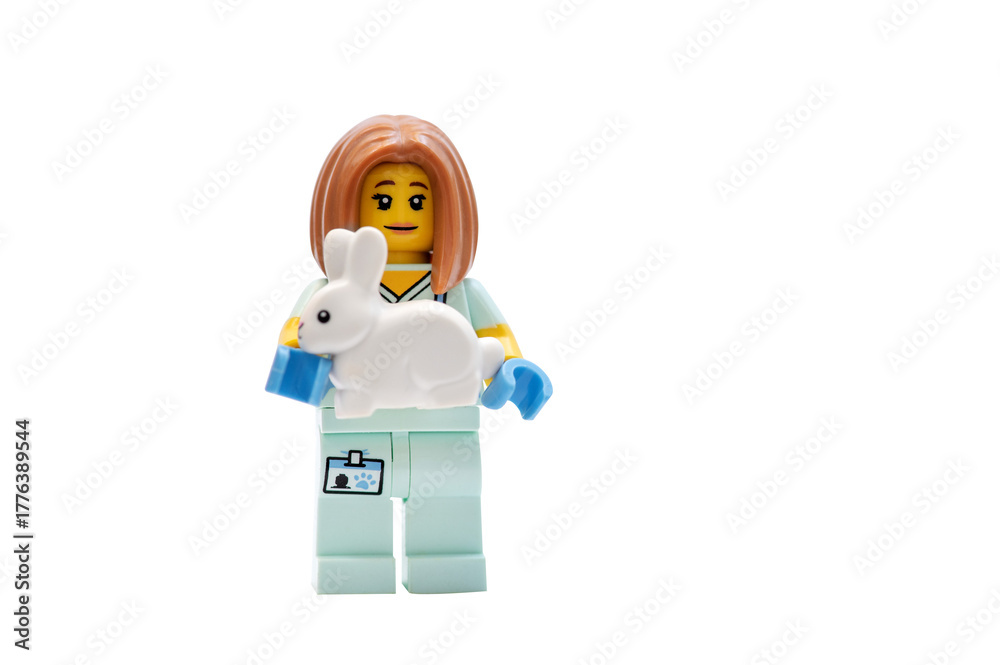 Naklejka premium A minifigures LEGO man: A veterinarian holding a small rabbit on a white background.