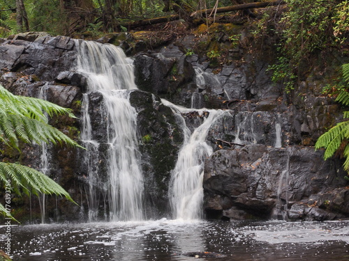 Mount Field National Park in Tasmania マウントフィールド国立公園