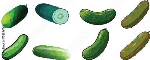 Set of Whole Cucumber Vegetable Food Vector Illustration Collection