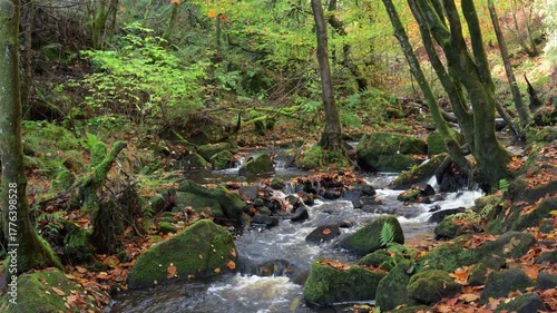 Small waterfall cascades running through a moss covered rocky ravine during autumn at Wyming Brook Nature Reserve in the Derbyshire, Peak District National Park.