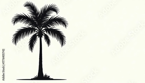 Elegant black palm tree line drawing, isolated , plant, palm trees, nature