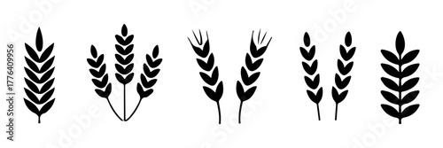A collection of stylized wheat or grain icons. Agriculture symbols representing harvest, bakery, farm, and natural food. Minimalist design elements for logos and packaging.