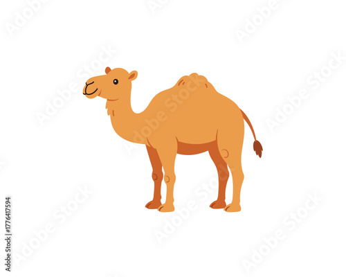 A charming cartoon illustration of a dromedary camel with a single hump standing proudly against a clean white background