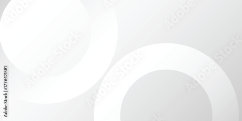 Abstract minimalist white and gray curve modern background. texture white pattern. vector