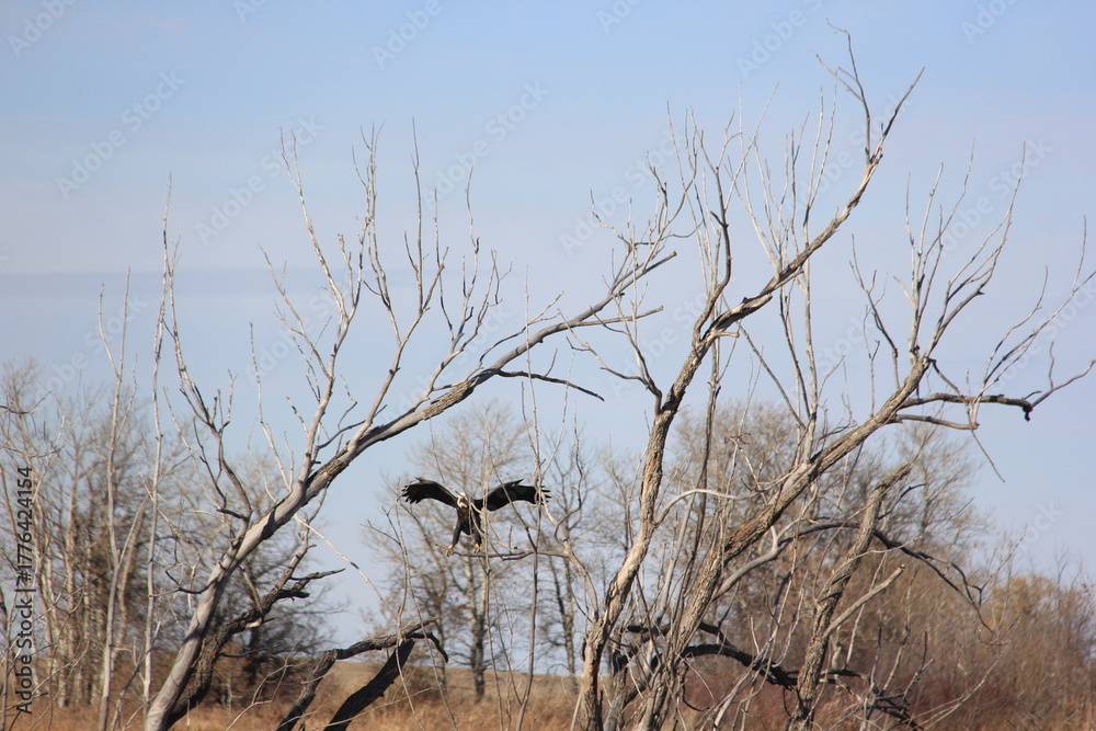 Obraz premium Abandoned Places and Scenery Near Earl Grey Saskatchewan