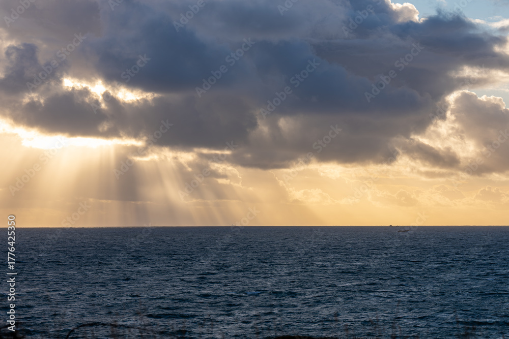 Obraz premium Paysage nuageux avec des rayons de lumière traversant les nuages, de petites plantes au premier plan et la mer en arrière-plan, créant une scène naturelle apaisante et lumineuse.