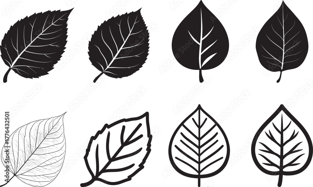 Fototapeta premium A set of black and white leaf silhouettes vector illustration