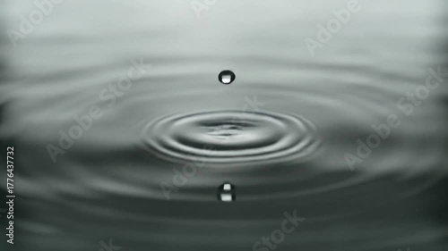 Water droplet creating ripples in calm grey pond surface  