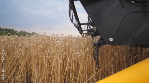 Close up knife of combine spinning and cutting ears of wheat. Harvester riding through field and gathering crop of barley with beautiful view at background. Concept of harvesting or agronomy. Slow mo
