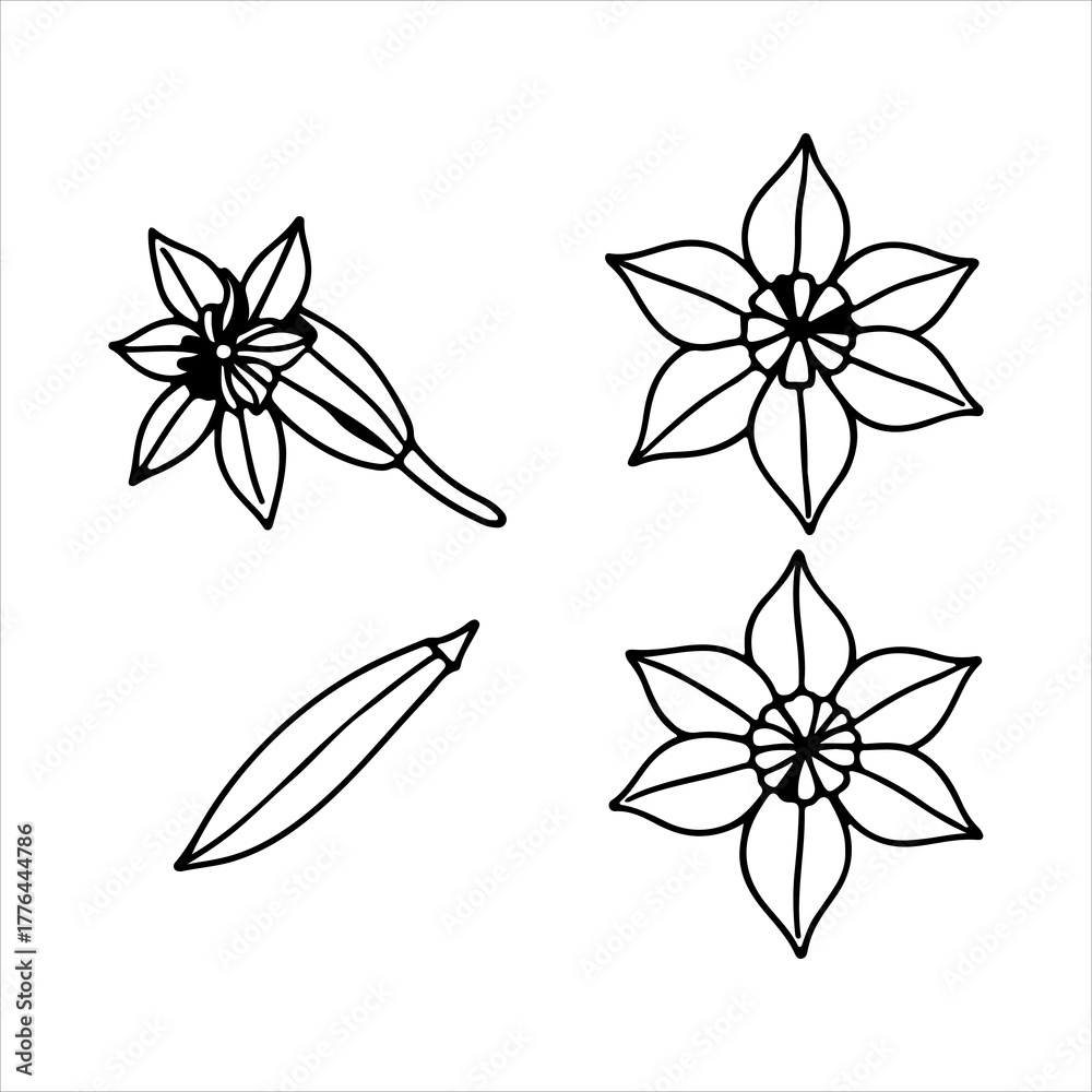 Obraz premium Lush Organic Spices Illustration Vector Group, A Flat Design Natural Graphic with Aromatic Elements Perfect for Digital Culinary and Flavor Blogs.