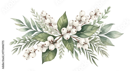 Watercolor Winter Berry and Leaf Garland illustration