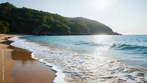 SunnyBeachWithForestedCoast