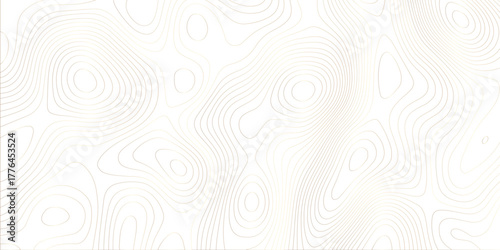 Abstract design with black and white abstract papercut and multi-layer cutout geometric pattern on vector Topographic canyon geometric map relief texture with curved layers beautiful design.	