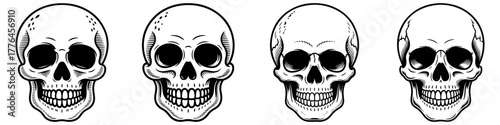 A set of four anatomically detailed human skulls shown from various angles. Monochrome illustrations suitable for medical, horror, or tattoo design projects. Isolated objects.