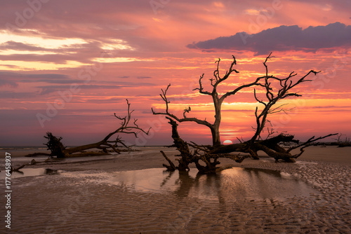 Gorgeous sunset at boneyard beach in Hunting Island State Park, South Carolina 